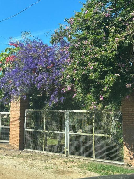 Vila Sitio Beija Flor Em Sao Roque Exteriér fotografie