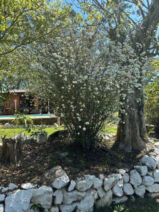 Vila Sitio Beija Flor Em Sao Roque Exteriér fotografie